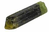 Beautiful Bicolored Dravite-Elbaite Crystal - Tanzania #131545-1